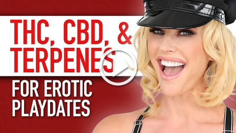 THC, CBD, and Terpenes for Erotic Playdates 3 THC CBD TERPENES 480 1